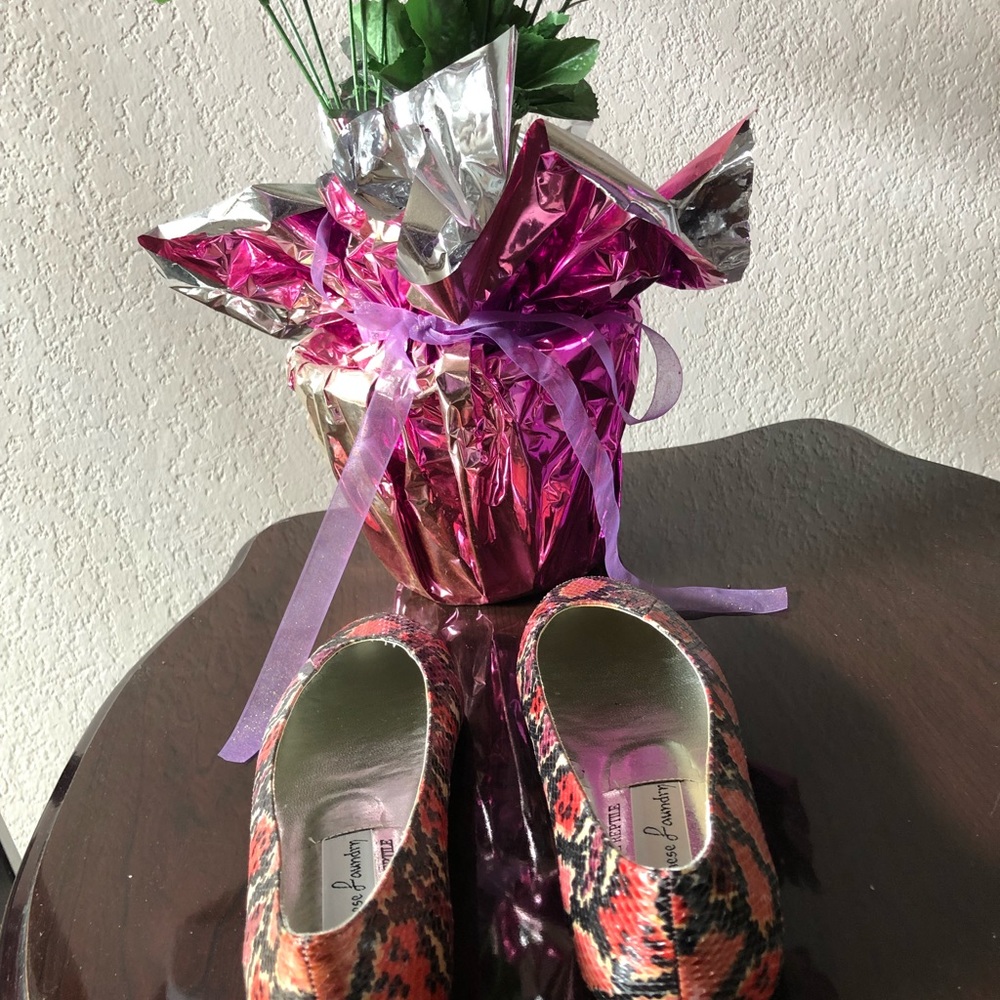Chinese Laundry - Picture 2 of 6